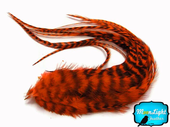 Orange Hair Feathers 6 Pieces Orange Thick Long Grizzly Etsy