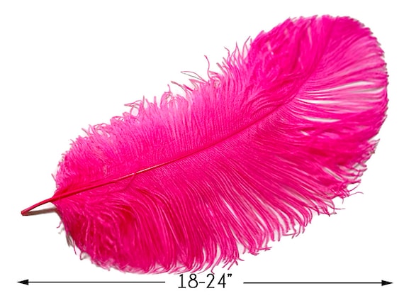 10 Pieces - 18-24 Snow White Large Prime Grade Ostrich Wing Plume  Centerpiece Feathers