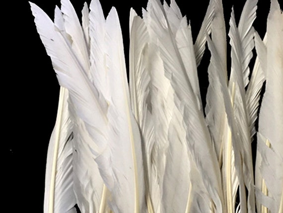 Wholesale best sale white feathers