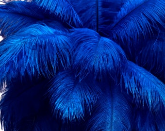 200 Feathers - 9-13" Royal Blue Ostrich Drab Body Plumage Wholesale Feathers (Bulk) Carnival Party Centerpiece : 2093-D