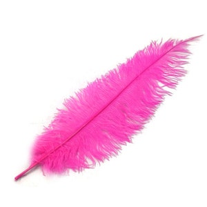 Super Long Feathers 10 Pieces 20-28 Hot Pink Ostrich - Etsy