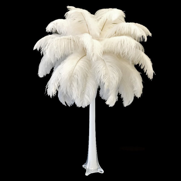 Grandes Plumes d'Autruche, 10 Pièces - 19 - 24" Blanc Cassé Autruche Teint Drabs Corps Plumes Partie Pièce Maîtresse Costume Fournisseur : 2061