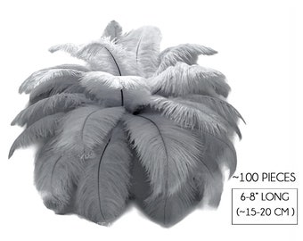 USA Feathers, 100 Pieces - 6-8" Silver Gray Dyed Ostrich Drabs Body Plumage Wholesale Feathers (bulk) Carnival Prom : 1429