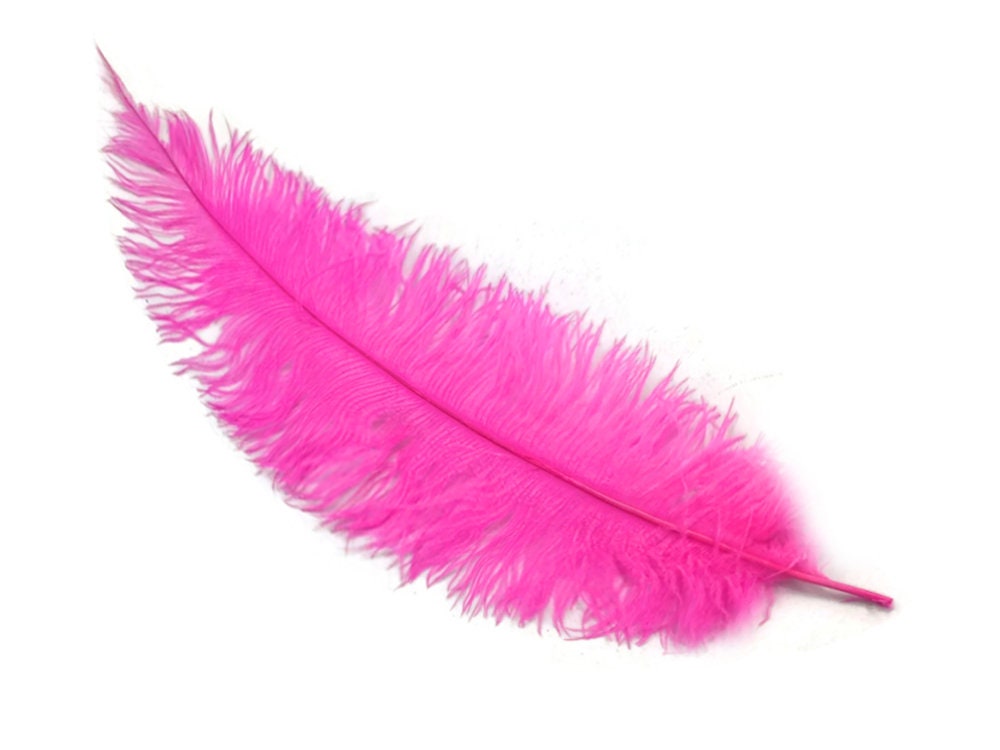 Natural Pink Large Ostrich Feathers Making Kit 10 Pcs, 26-28 Inch Long  Ostrich Feathers Bulk for Flowers Vase, Wedding Party Centerpieces, Home
