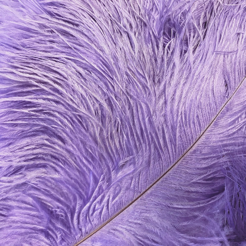 Ostrich Feathers 1/2 lb 1417 Lavender Ostrich Large Etsy