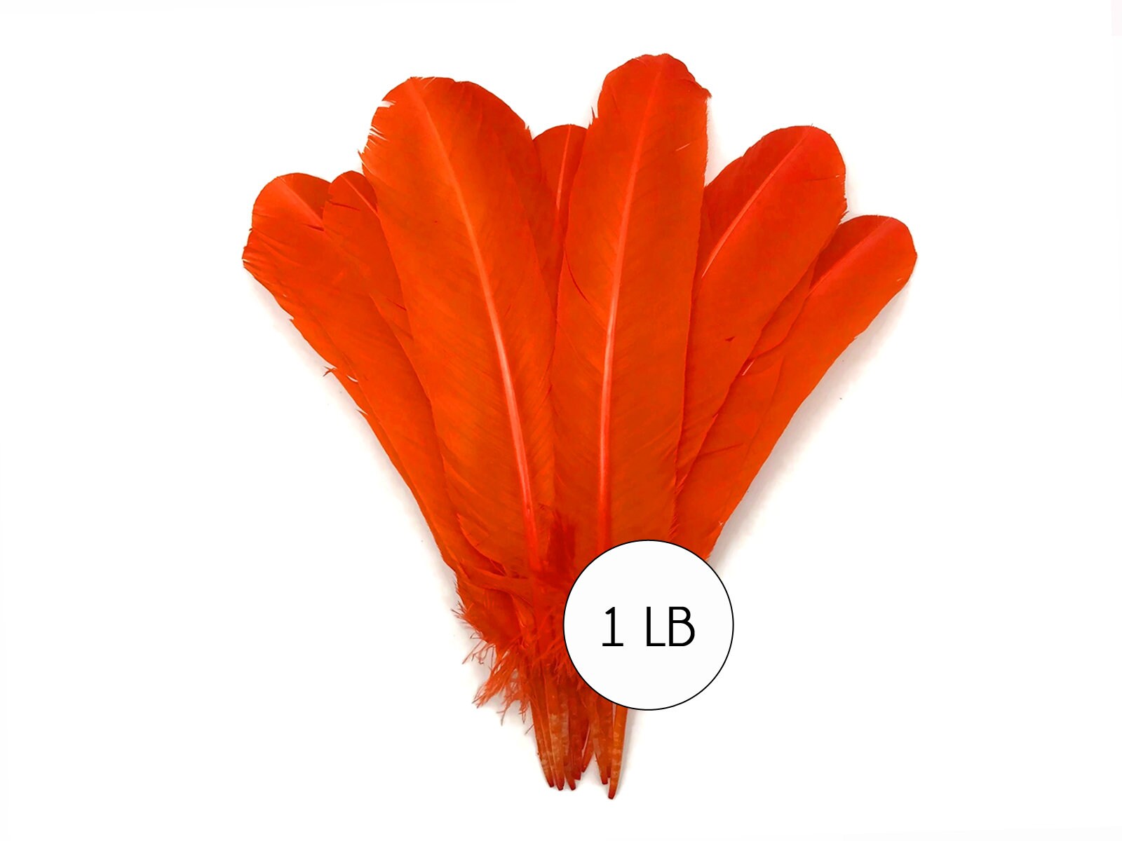 Wing Feathers, 1 Lb - Orange Turkey Rounds Wing Quill Wholesale Feathers (Bulk) Halloween Craft Supplier : 4939