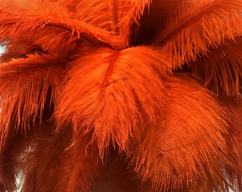 Large ostrich Wings, 10 Pieces - 14-17" Burnt Orange Ostrich Dyed Drab Body Feathers Costume and Crafts Supplier : 4558