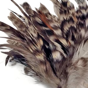 4 Inch Strip Natural Grey Chinchilla Strung Rooster Schlappen Feathers Halloween Costume Craft Supply : 3611 image 3