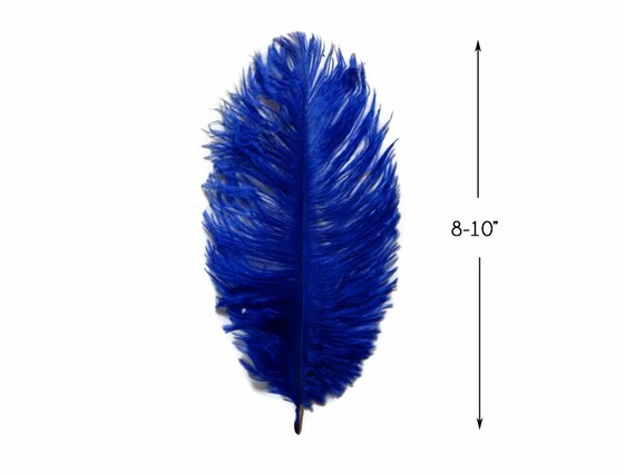 Ostrich Feathers 100 Pieces 8 10 Royal Blue Ostrich Dyed Drab
