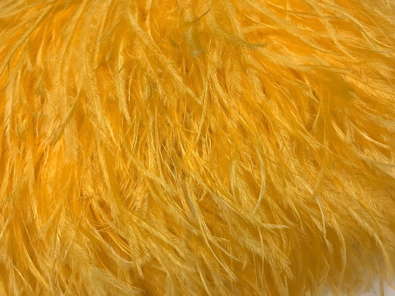 Ostrich Fringe Feathers, 6 Inch Strip Golden Yellow Ostrich Fringe Trim Feather : 3162 image 2
