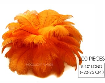 Ostrich Feathers, 100 Pieces - 8-10" Orange Ostrich Dyed Drab Body Wholesale Feathers (Bulk) : 4540
