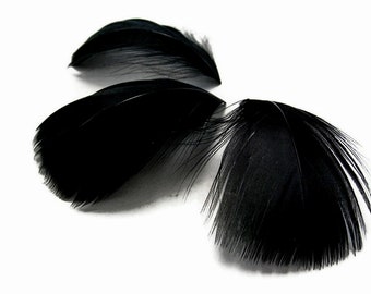 Black feathers, 1 Pack - 2-3" Black Goose Coquille Loose Feathers - 0.35 Oz. Halloween Wedding Craft Supplies : 171