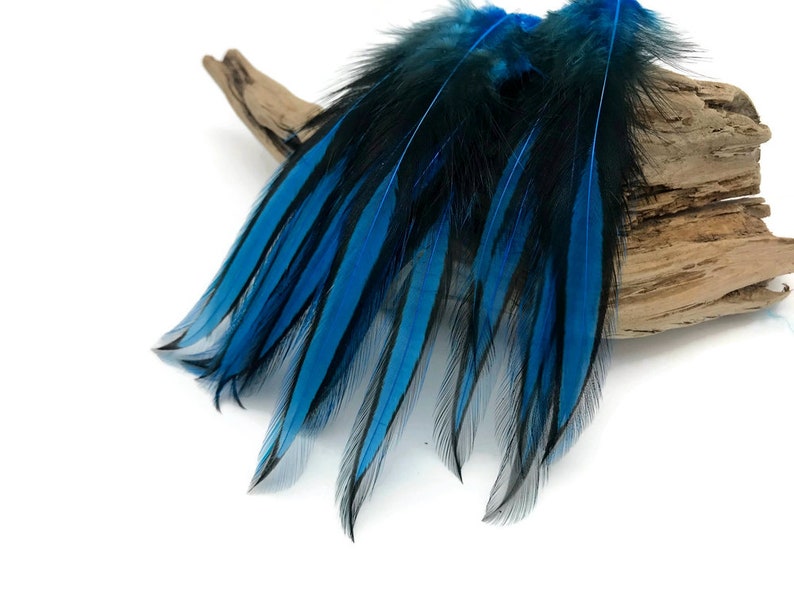 Blue Laced Feathers, 10 Pieces - Kingfisher Blue Dyed BLW Laced Long ...