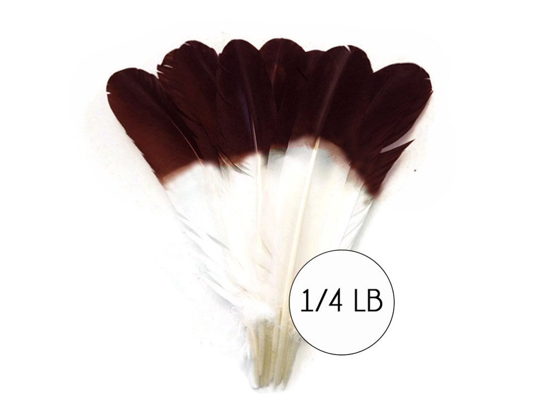 1/4 Lb. - Light Brown Turkey Tom Rounds Secondary Wing Quill Wholesale  Feathers (Bulk) Carnival, Fletching Craft Supply | Moonlight Feather