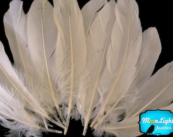 Ivory Goose Feathers, 1/4 lb - IVORY Goose Satinettes Wholesale Loose Feathers (bulk) : 2330