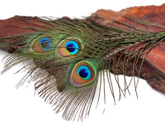 Small Peacock Feathers, 10 Pieces - 6-8" Small Eye Natural Iridescent Green Peacock Tail Feathers : 353
