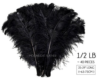 1/2 lb. - 25-29" Black Large Ostrich Wing Plumes Wholesale Feathers (Bulk) Halloween Centerpiece Decor Supply : 4217