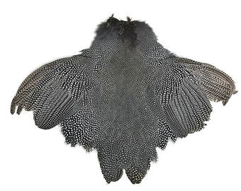 Pelt, 1 Piece  - Guinea Fowl Natural Polka Dot with Wing Complete Pelt Feathers (Bulk) : 4249