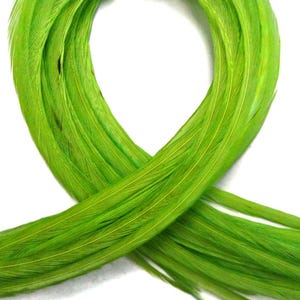 VENDEDOR DE EE. UU., 6 piezas - XL Verde Lima Sólido Extra Largo Fino Extensión de Pelo de Gallo de Whiting Farms Pluma para Atar Moscas de Verano: 208 imagen 3