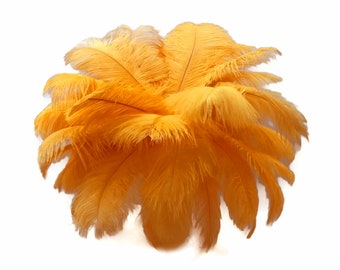 200 Feathers - 9-13" Golden Yellow Ostrich Drab Body Plumage Wholesale Feathers (Bulk) Carnival Party Centerpiece : 2091-D