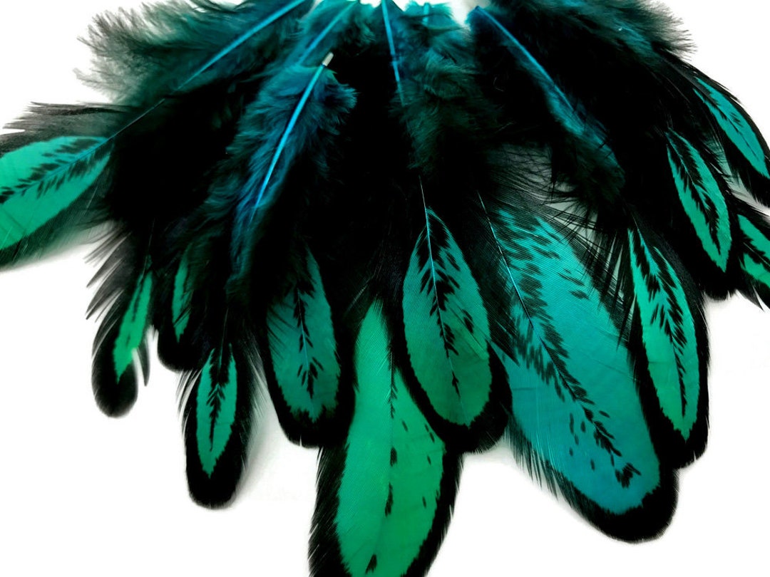 Custom Dye Feather, 1 Dozen - Peacock Green Whiting Farms Laced