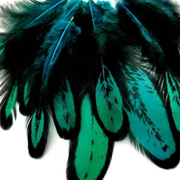 Piume di tintura personalizzate, 1 dozzina - Piume di sella BLW di gallina con lacci, verde pavone, Whiting Farms: 1406