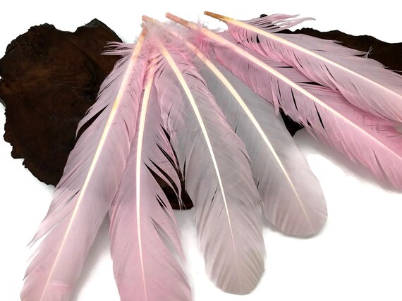 1/4 lbs. - Brown Tipped Tom Turkey Rounds Imitation Eagle Wholesale  Feathers (Bulk) Indian Craft, Headdress, Halloween Costume | Moonlight  Feather