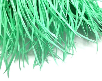 Goose Feathers, 1 Yard - Aqua Green Goose Biot Stripped Wing Wholesale Feather Trim Craft Supply : 3365