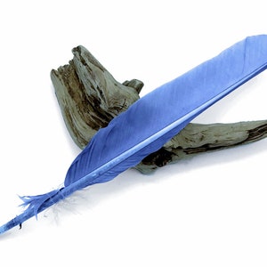 Turkey Pointers Supply, 6 Pieces - Copenhagen Blue Turkey Pointers Primary Wing Quill Large Feathers Halloween Costume Cosplay : 3993