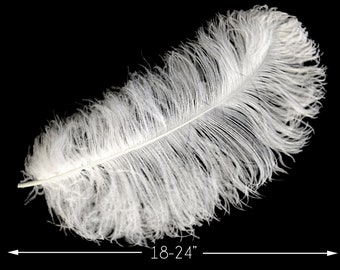 Large Feathers, 10 Pieces - 18-24" White Prime Grade Large Ostrich Wing Plumes Centerpiece Feathers : 2224