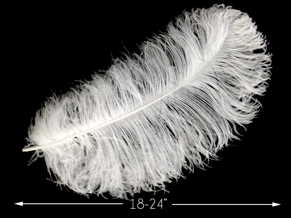 Large Feathers, 10 Pieces 18-24 White Prime Grade Large Ostrich Wing Plumes  Centerpiece Feathers : 2224 