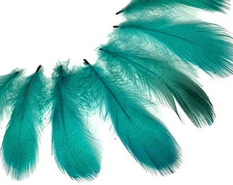 Plumas de pato real verde pavo real (paquete de 1) 0.10 oz. Suministros para manualidades de Halloween, atado de moscas: 3656