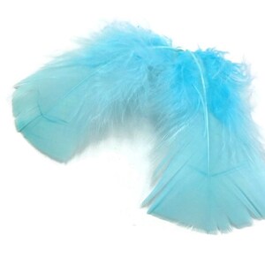 Marabou Feathers, 1 Pack Navy Blue Turkey Marabou Short Down Fluff Loose  Feathers 0.10 Oz. Craft Fishing Doll Supplies : 4283 