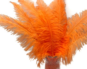 Ostrich Feathers, 10 pieces - 20-28" Orange Ostrich Feather Spads Craft Wedding Centerpiece Supply : 5046