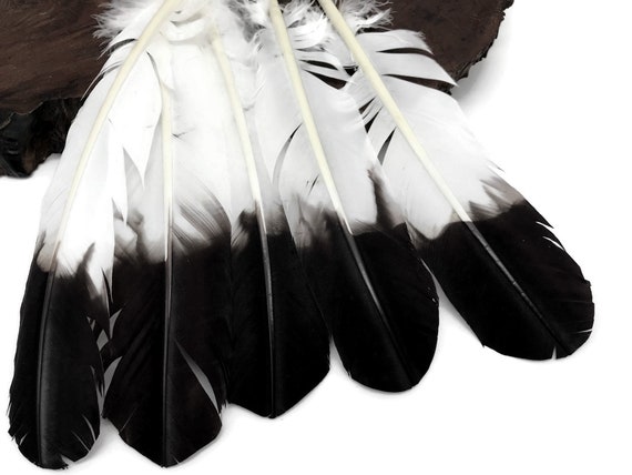 1/4 Lb Bulk White Turkey Body Plumage Feathers