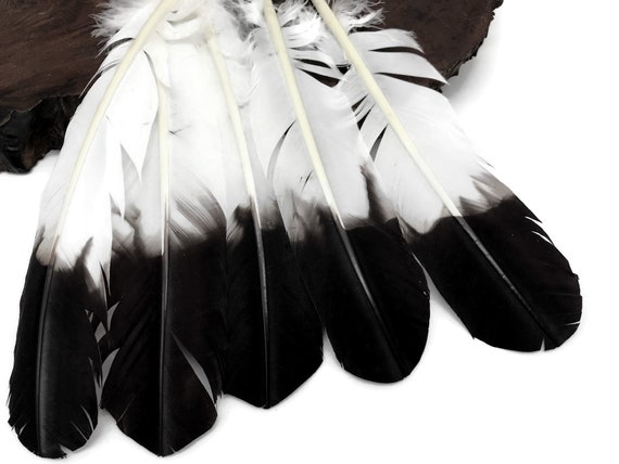 White best sale feathers bulk