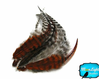 Hair Feathers, 2 Dozen - SHORT NATURAL and BROWN Grizzly Mix Rooster Hair Extension Feathers : 563
