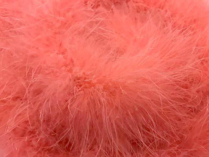 May include: A close-up of a soft, fluffy pink feather boa. The boa is made of many small feathers that are tightly packed together.