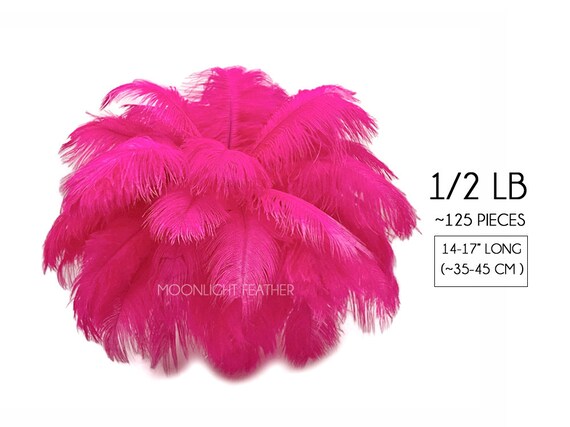 Ostrich Feathers, 1/2 Lb 14-17 Baby Pink Ostrich Large Drab Wholesale  Feathers bulk : 2088 