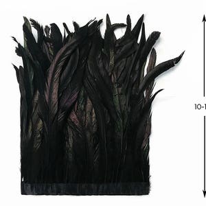 Ostrich Feathers, Black Ostrich Feather Spads 18-24, Centerpiece Floral  Supplies, Carnival & Costume Feathers ZUCKER® 