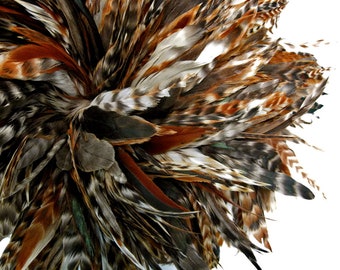 4 Inch Strip - Brown Chinchilla Strung Rooster Schlappen Feathers Halloween Costume Craft Supply : 385