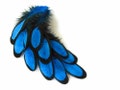 Fly Tying Feathers, 1 Dozen - Turquoise Blue Whiting Farms Laced BLW Hen Saddle Feathers Crafts : 361