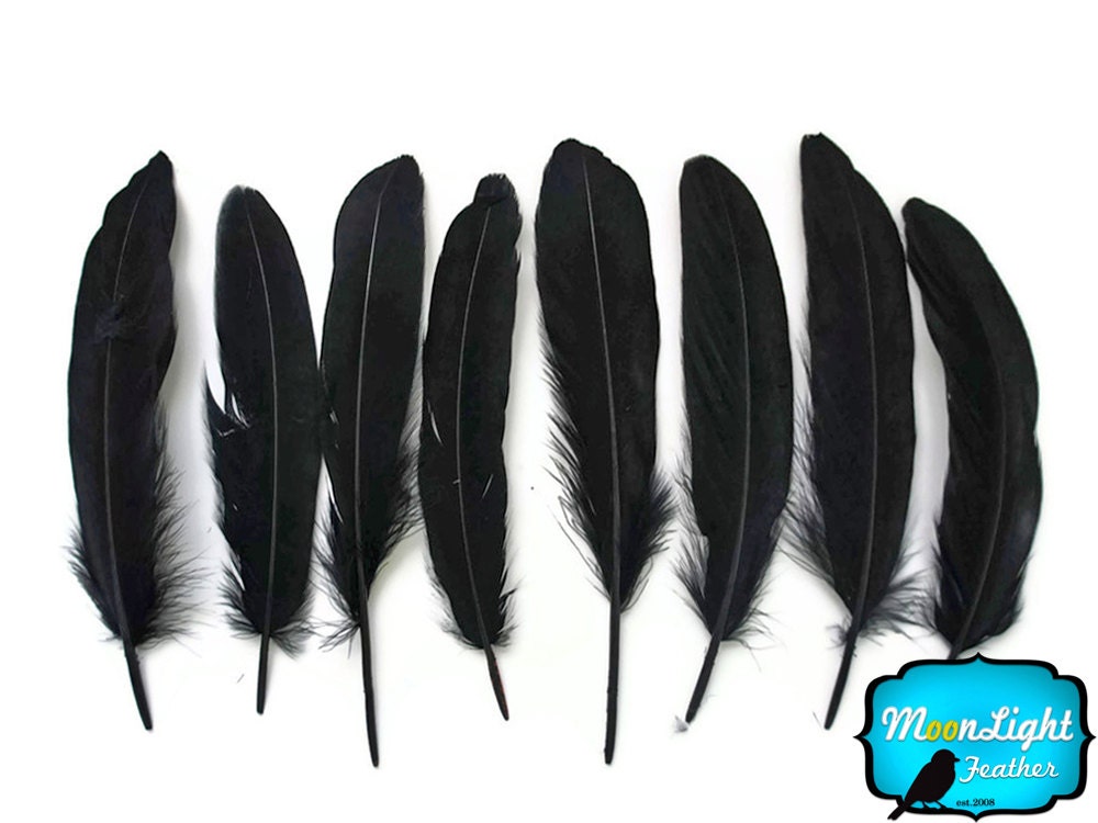Wholesale Goose Feathers 1/4 Lb BLACK Goose Etsy