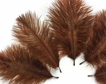 flowerlower320design Brown Feather 50 Pieces Brown Feather 4-7cm (YM31) - Etsy