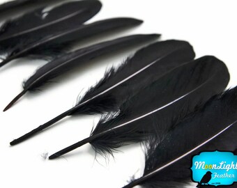 Goose Feathers, 1 Pack - Black Goose Satinettes Loose feathers - 0.3 oz. : 167