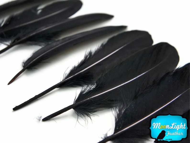 Wholesale Goose Feathers 1/4 Lb BLACK Goose Etsy
