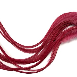 6 Pieces - XL Solid Claret Thick Long Grizzly Whiting Farm Rooster Saddle Hair Extension Feathers Fly Tying Craft Supply : 669