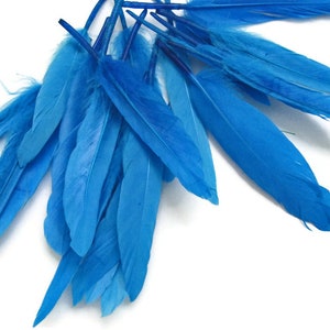 Penas de pato azul, 500 peças - Cochettes de pato azul turquesa Penas soltas no atacado (a granel) Fornecimento de artesanato: 144