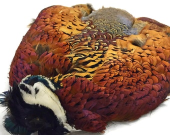 Feather Supply, 1 Piece - COMPLETE NATURAL Ringneck Pheasant Skin Pelt Without Wing and Tails (Bulk) : 4099