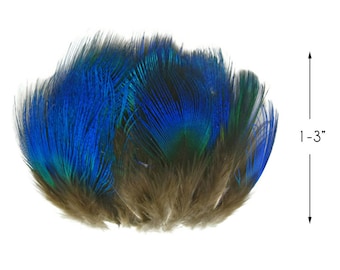 Small Peacock Feathers, 10 Pieces - Iridescent Blue Peacock Body Plumage feathers Craft Supply : 2467